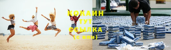 тгк Корсаков