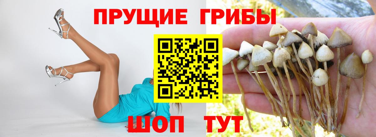 Псилоцибиновые грибы мухоморы  наркотики  Лобня  Вход с VPN 