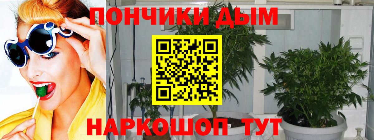 Шишки марихуана SATIVA & INDICA  Конопля планчик  Марихуана VHQ  Вход с VPN  Лобня  Конопля семена 